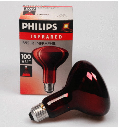 [PHILIPS] 필립스 적외선전구 (100W) 안법기 온열기 개인용적외선조사기 원적외선기 적외선램프