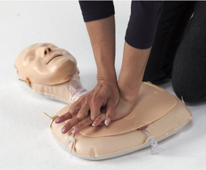 [래어달] 튜브형 CPR 심폐소생실습모형 애니타임